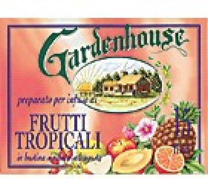 gardenhouse-tropicky-caj-15-x-14-g_68_65.jpg
