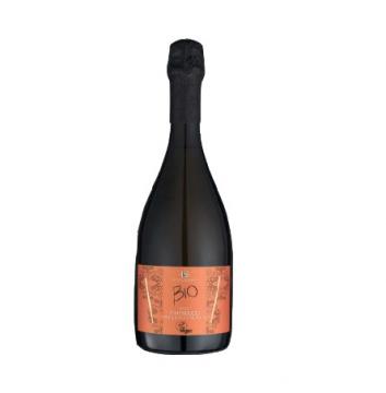 trevisana-prosecco-spumante-doc-extra-dry-millesimato-bio-vegan-075-l_2179_3169.jpg